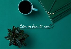 Thông báo quan trọng năm 2023